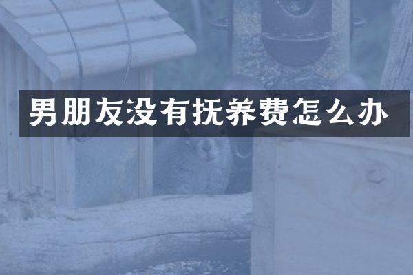 男朋友没有抚养费怎么办