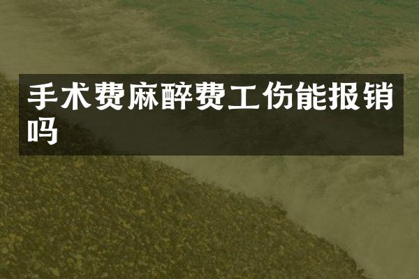 手术费费工伤能报销吗