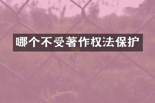 哪个不受著作权法保护