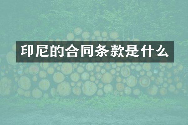 印尼的合同条款是什么