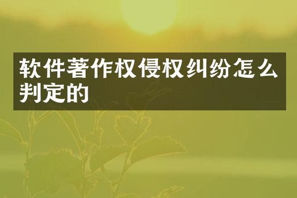 软件著作权侵权纠纷怎么判定的