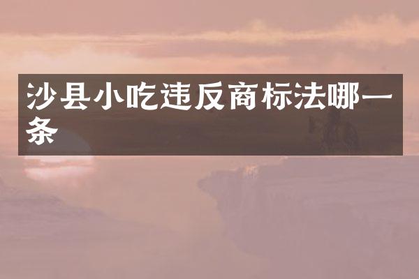 沙县小吃违反商标法哪一条