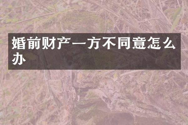 婚前财产一方不同意怎么办