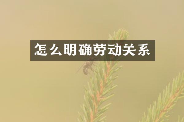 怎么明确劳动关系