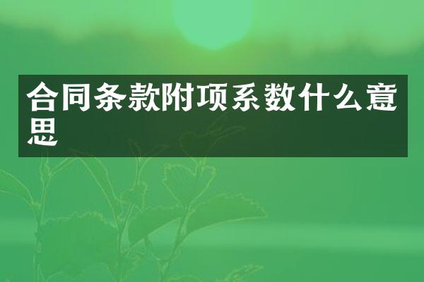合同条款附项系数什么意思