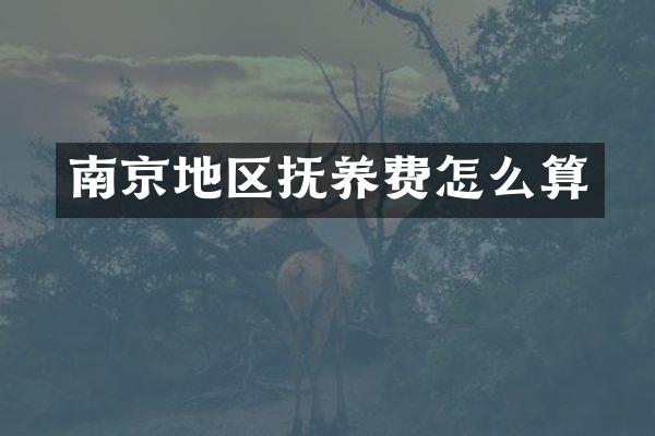 南京地区抚养费怎么算