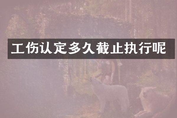 工伤认定多久截止执行呢