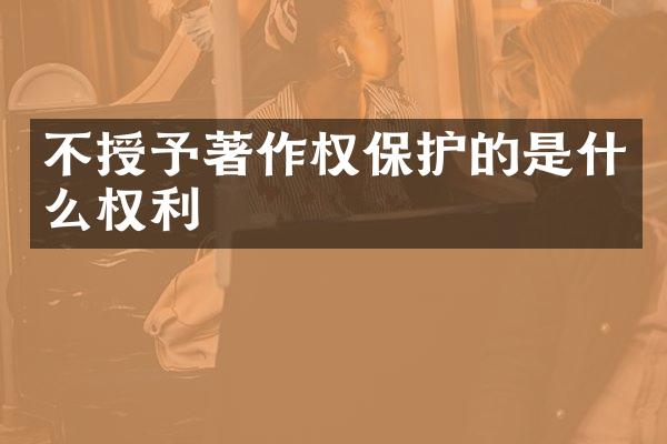 不授予著作权保护的是什么权利