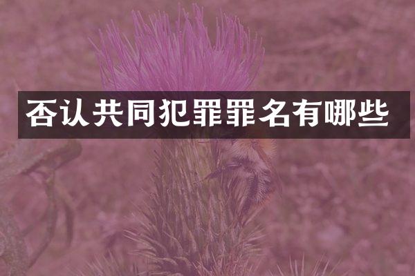 否认共同犯罪罪名有哪些