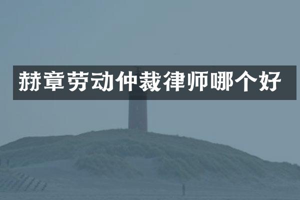 赫章劳动仲裁律师哪个好