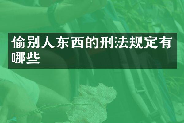 偷别人东西的刑法规定有哪些