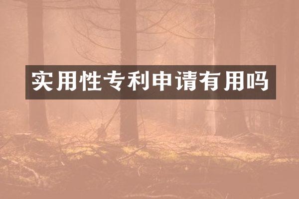 实用性专利申请有用吗