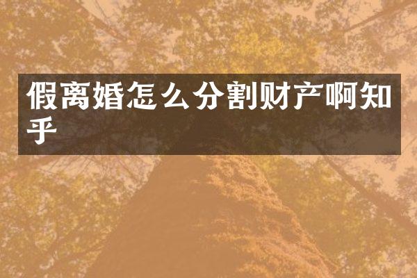 假离婚怎么分割财产啊知乎