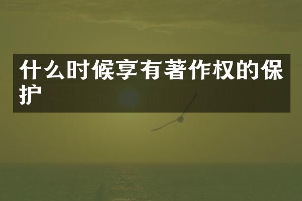 什么时候享有著作权的保护