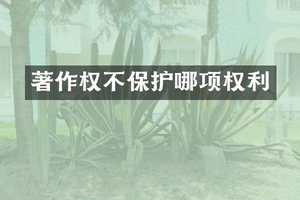 著作权不保护哪项权利