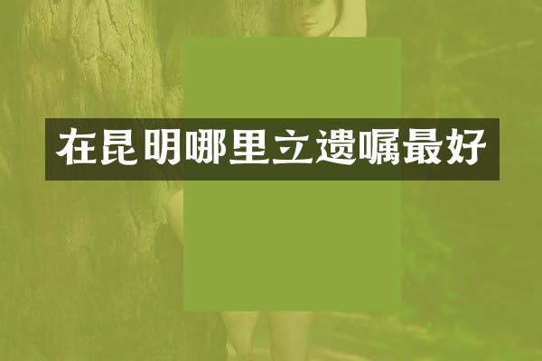 在昆明哪里立遗嘱最好