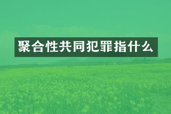 聚合性共同犯罪指什么