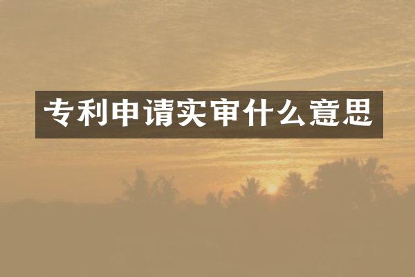 专利申请实审什么意思