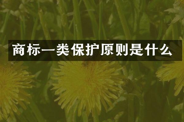 商标一类保护原则是什么