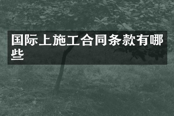 国际上施工合同条款有哪些