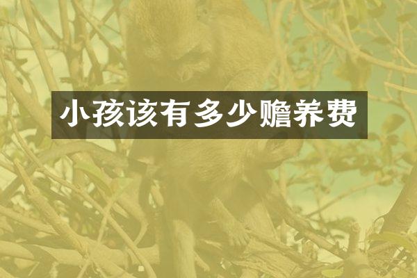 小孩该有多少赡养费