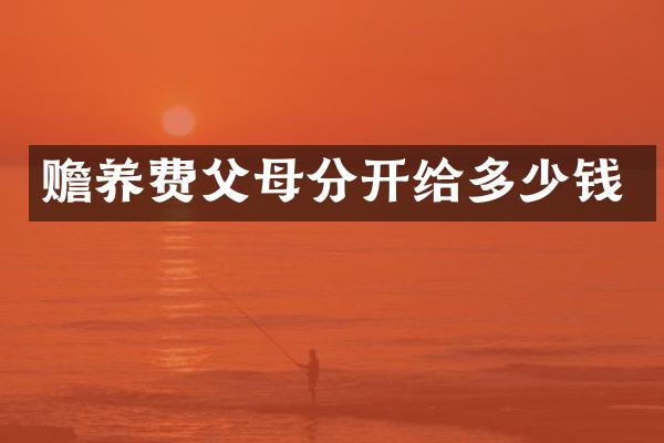 赡养费父母分开给多少钱