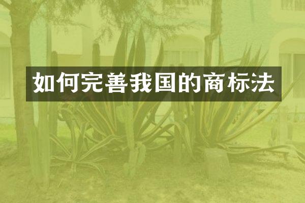 如何完善我国的商标法
