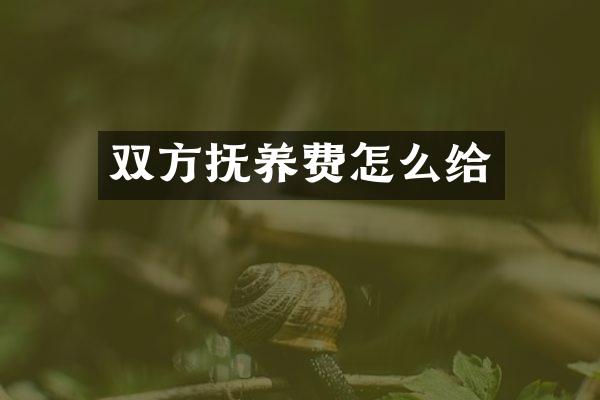 双方抚养费怎么给