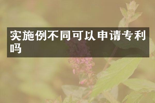 实施例不同可以申请专利吗