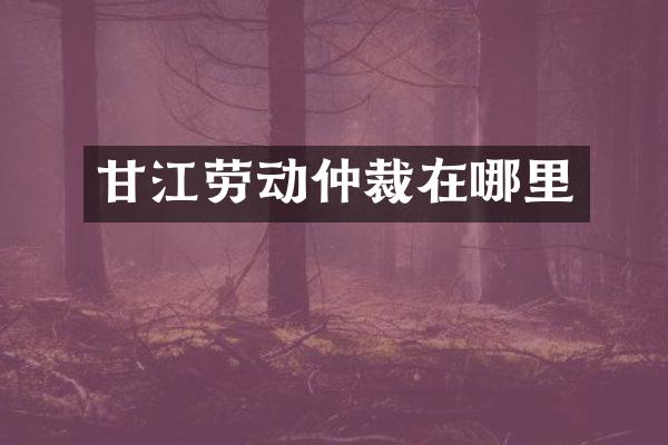 甘江劳动仲裁在哪里