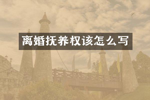 离婚抚养权该怎么写