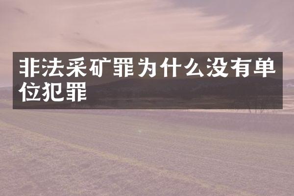非法采矿罪为什么没有单位犯罪