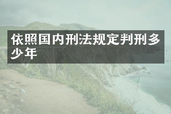 依照国内刑法规定判刑多少年