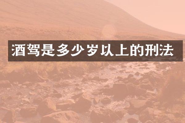 酒驾是以上的刑法