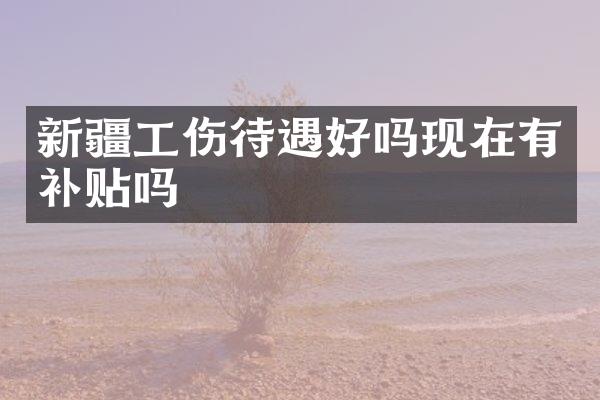 新疆工伤待遇好吗现在有补贴吗