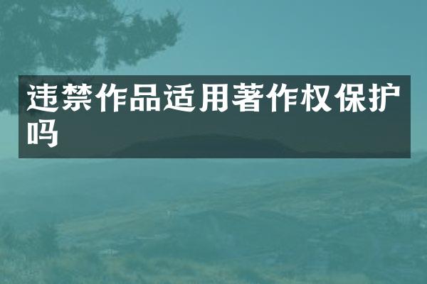违禁作品适用著作权保护吗
