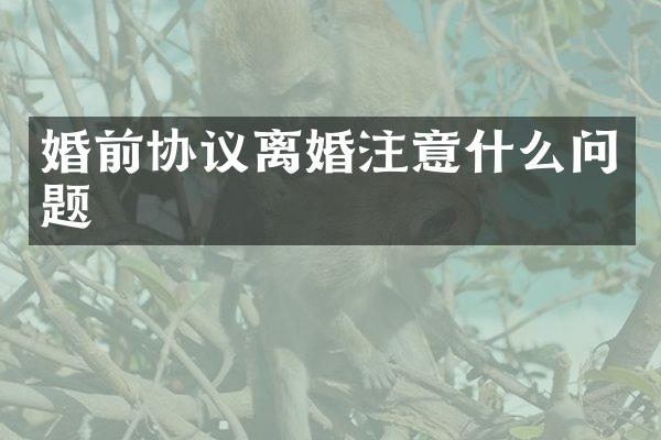 婚前协议离婚注意什么问题