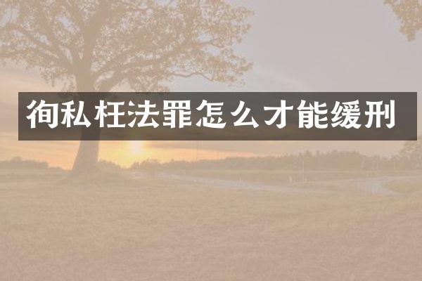 徇私枉法罪怎么才能缓刑