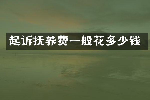 起诉抚养费一般花多少钱