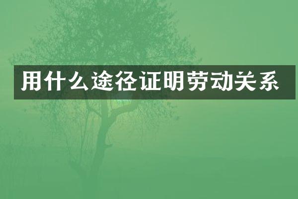 用什么途径证明劳动关系