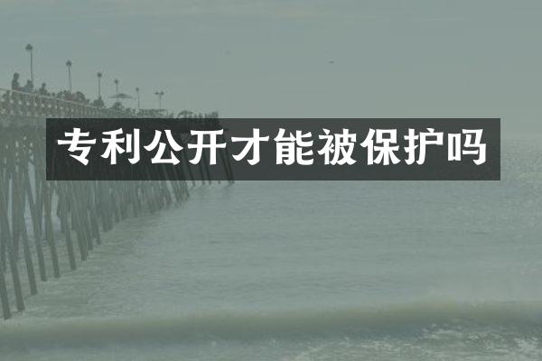 专利公开才能被保护吗