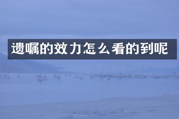 遗嘱的效力怎么看的到呢