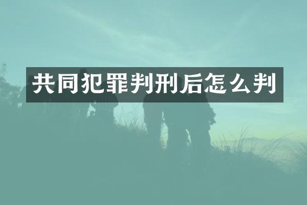 共同犯罪判刑后怎么判