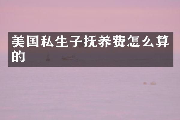 美国私生子抚养费怎么算的