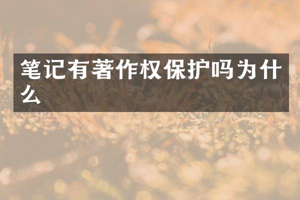 笔记有著作权保护吗为什么