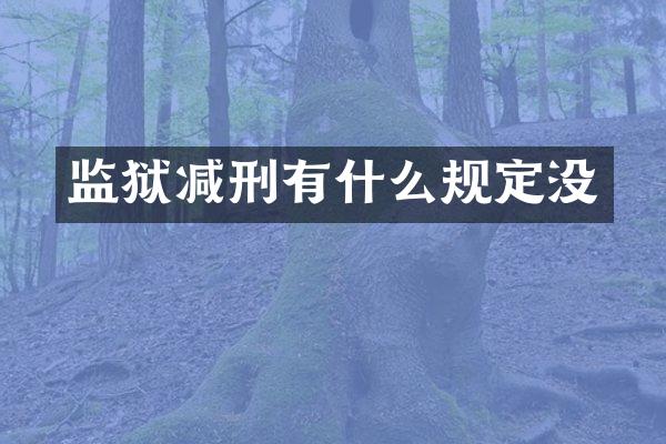 监狱减刑有什么规定没