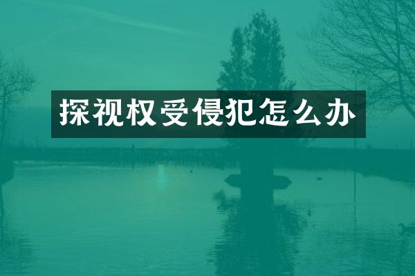 探视权受侵犯怎么办