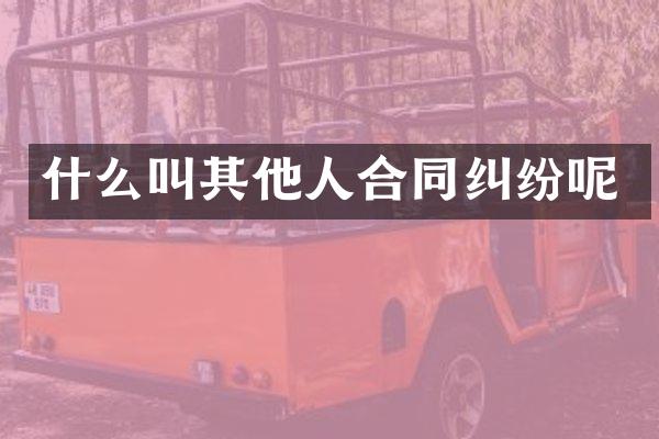 什么叫其他人合同纠纷呢