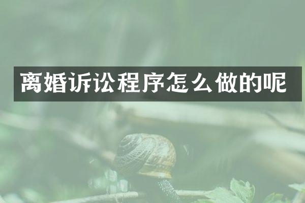 离婚诉讼程序怎么做的呢