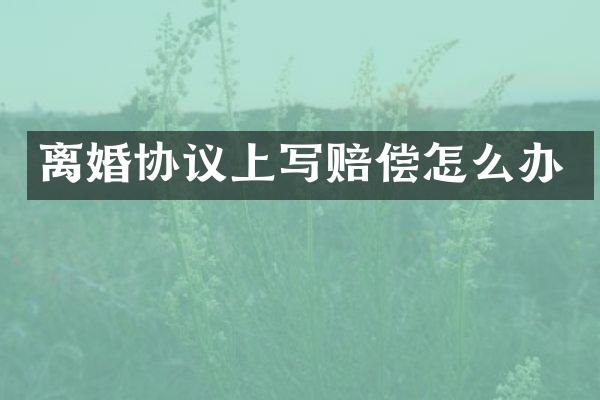 离婚协议上写赔偿怎么办